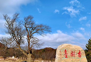 须弥山石窟第 55 张图片