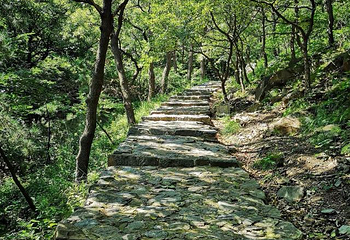 塔山旅游风景区第 58 张图片