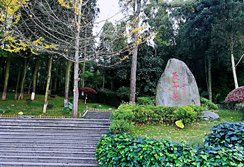聂耳墓第 11 张图片