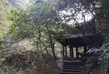 寿仙谷第 22 张图片