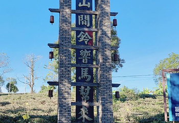 大益庄园第 35 张图片