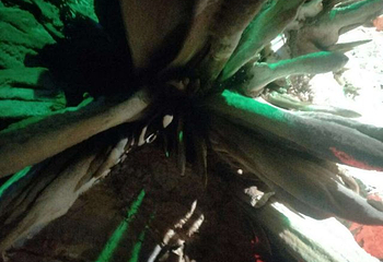 石花洞第 56 张图片