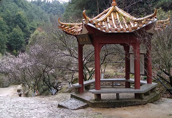 梅关古道第 51 张图片