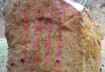 梅关古道第 50 张图片