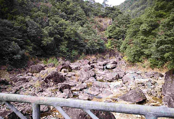 文成铜铃山森林公园景区第 56 张图片