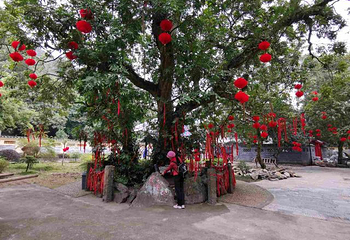 刘三姐故里景区第 36 张图片