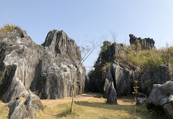 鳞隐石林第 19 张图片