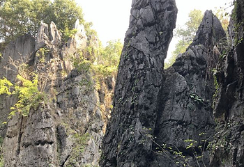 鳞隐石林第 17 张图片