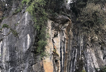 鳞隐石林第 15 张图片
