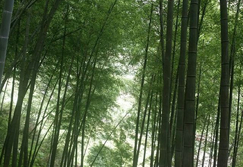 济公故居第 96 张图片