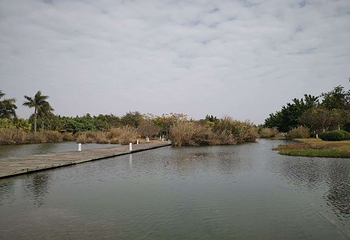 千岛湖农夫山泉生产基地(淳安生产基地)第 22 张图片