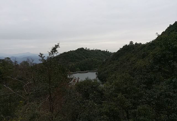 千岛湖农夫山泉生产基地(淳安生产基地)第 17 张图片
