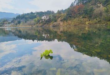楠溪江风景旅游区第 95 张图片