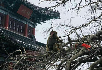 老帽山风景区第 18 张图片