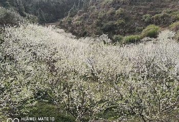 万绿湖·万绿谷度假区第 42 张图片