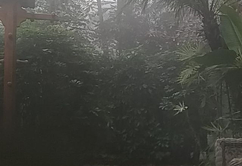 团泊湖温泉第 36 张图片