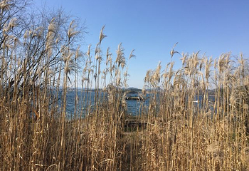 红枫湖风景区第 35 张图片