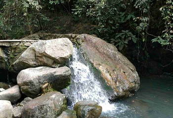 幽峪逸林旅游区第 10 张图片