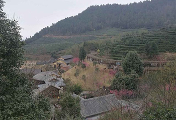 虔心小镇第 28 张图片