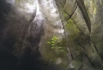 福安白云山第 40 张图片
