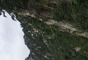 柴埠溪大峡谷第 44 张图片