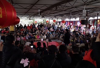 刘三姐大观园第 26 张图片