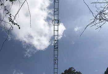宁波五龙潭景区第 46 张图片