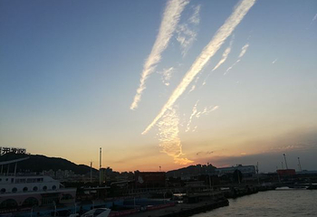 厦门海沧大桥旅游区第 19 张图片