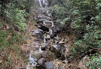 百山祖景区第 24 张图片