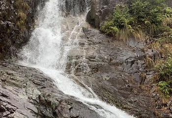 百山祖景区第 22 张图片