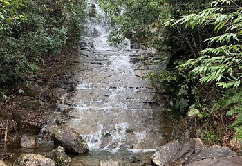 百山祖景区第 21 张图片