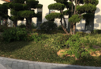瘦西湖温泉度假村第 73 张图片