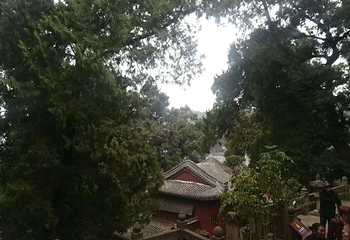 七曲山大庙第 25 张图片