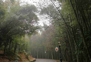 咸宁碧桂园凤凰温泉第 157 张图片