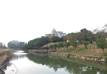 江门古劳水乡旅游区第 91 张图片