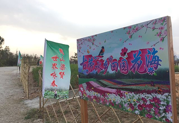 江门古劳水乡旅游区第 90 张图片
