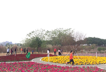 江门古劳水乡旅游区第 87 张图片