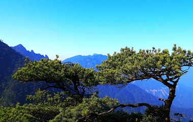 南岭国家森林公园第 18 张图片