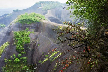 南岭国家森林公园第 16 张图片