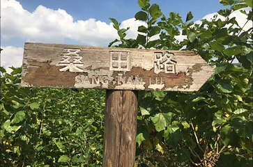 天宫庄园第 26 张图片