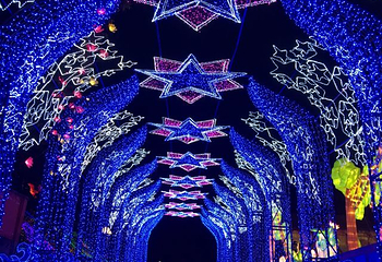 荣县大佛第 12 张图片