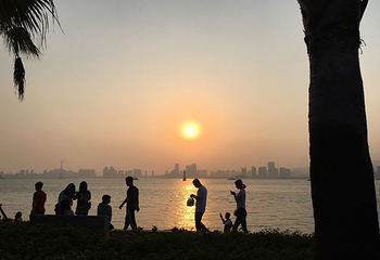 海湾公园第 25 张图片