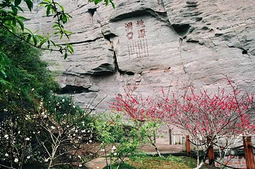 桃源洞第 42 张图片