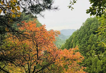观音湖景区第 8 张图片