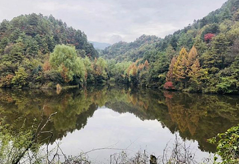 观音湖景区第 7 张图片