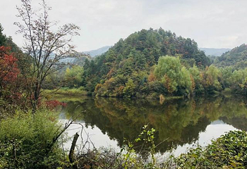 观音湖景区第 6 张图片