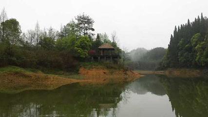 千岛湖龙川湾第 45 张图片