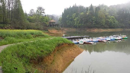 千岛湖龙川湾第 43 张图片