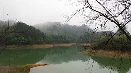 千岛湖龙川湾第 42 张图片