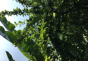 洛阳花果山景区第 30 张图片
